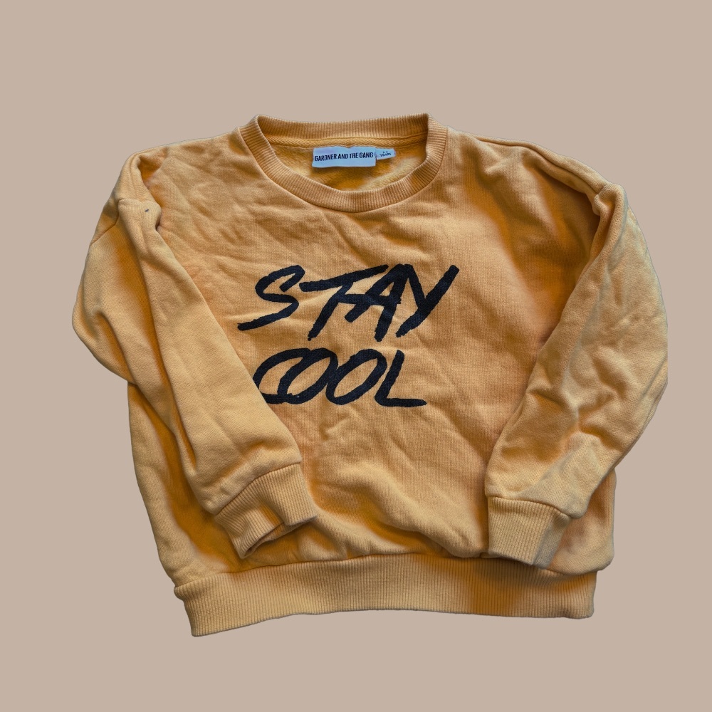 Gardner & the gang 3/4 boys sweatshirt